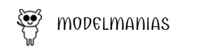 Home for model lovers, rich model kits and accessories